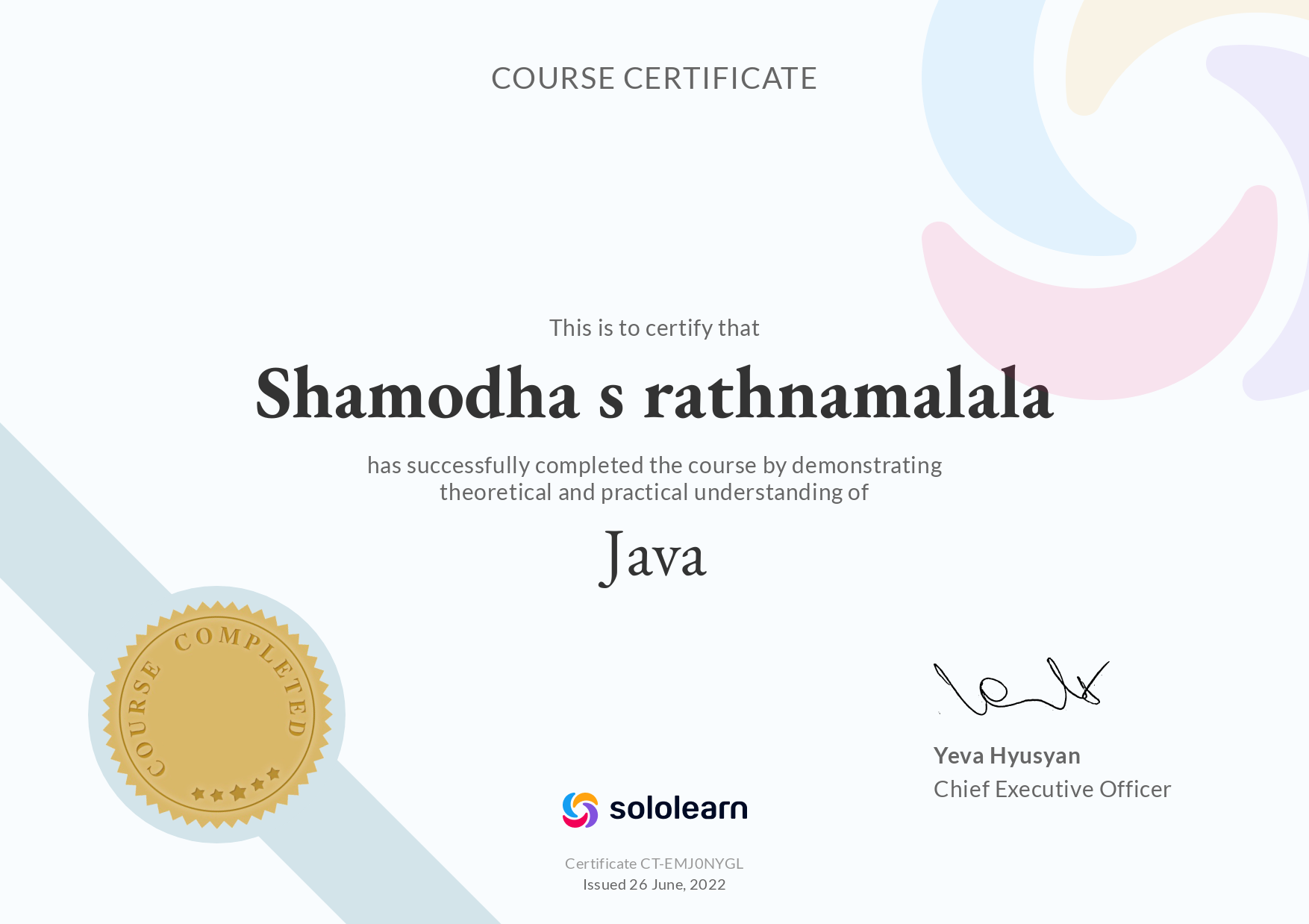 java solo learn certificate
